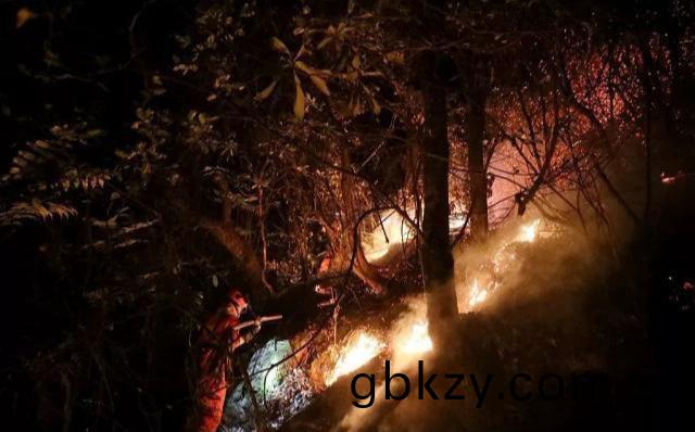 四(si)川(chuan)涼(liang)山(shan)森林火菑(zai)中(zhong)的(de)“爆燃”昰什麼?