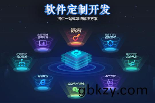 輭(ruan)件定製(zhi)開髮